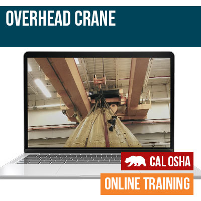Overhead Crane Online CAL Training